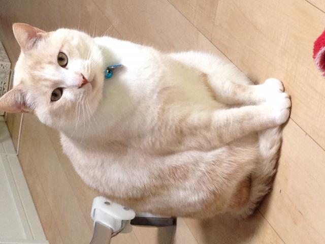 しろう
