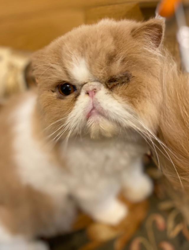 ちぃちゃん