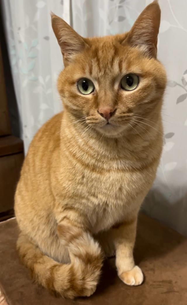 うに