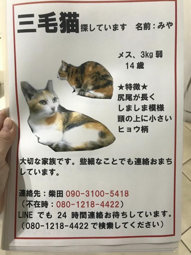 みや