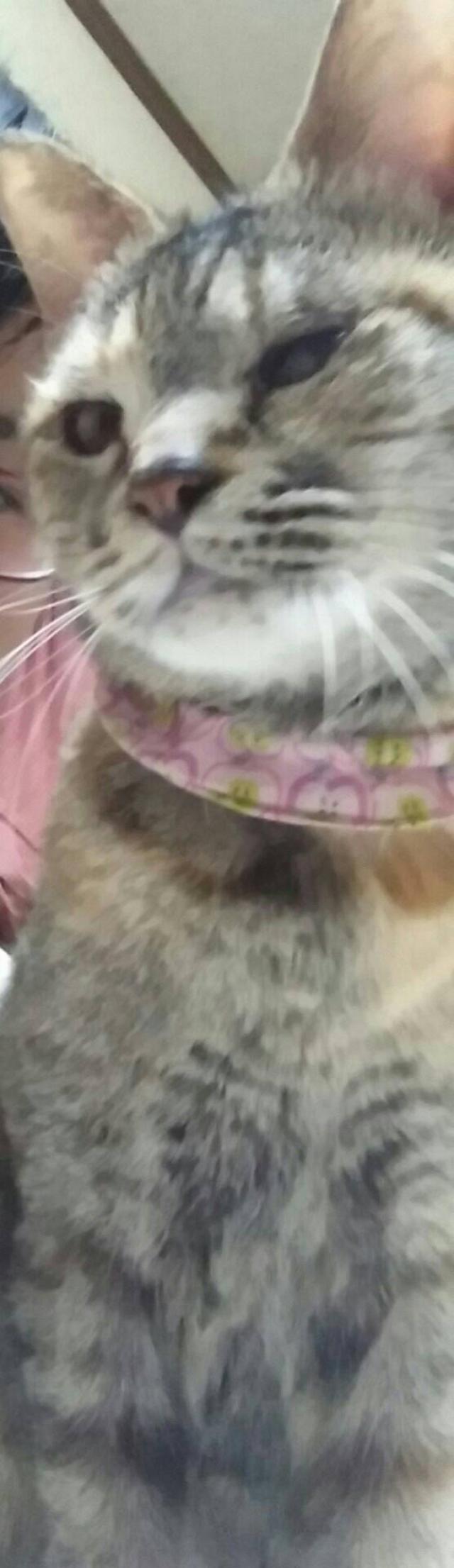 ちも