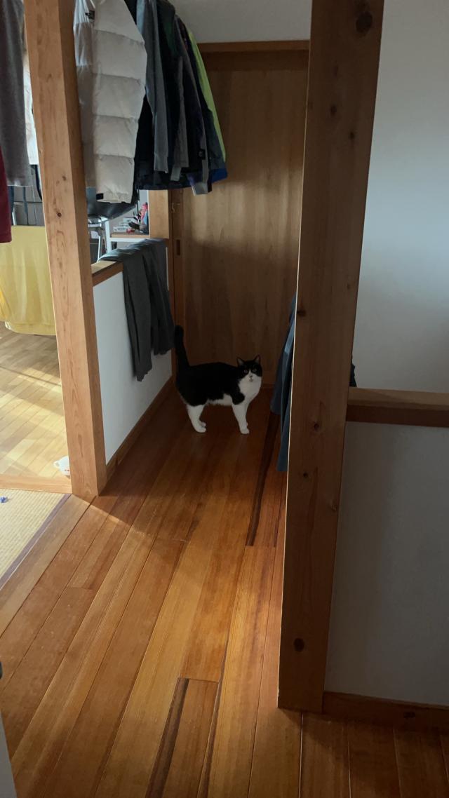ごんず