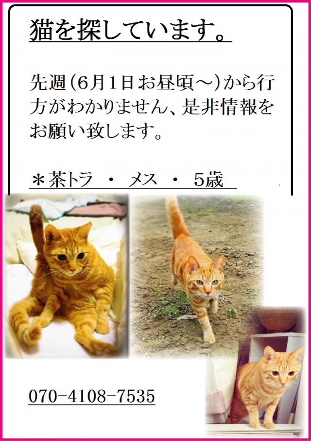 チャーちゃん