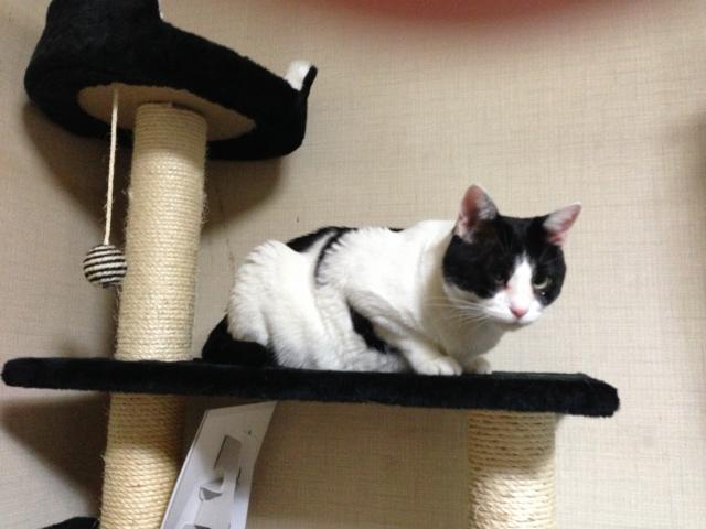 れん