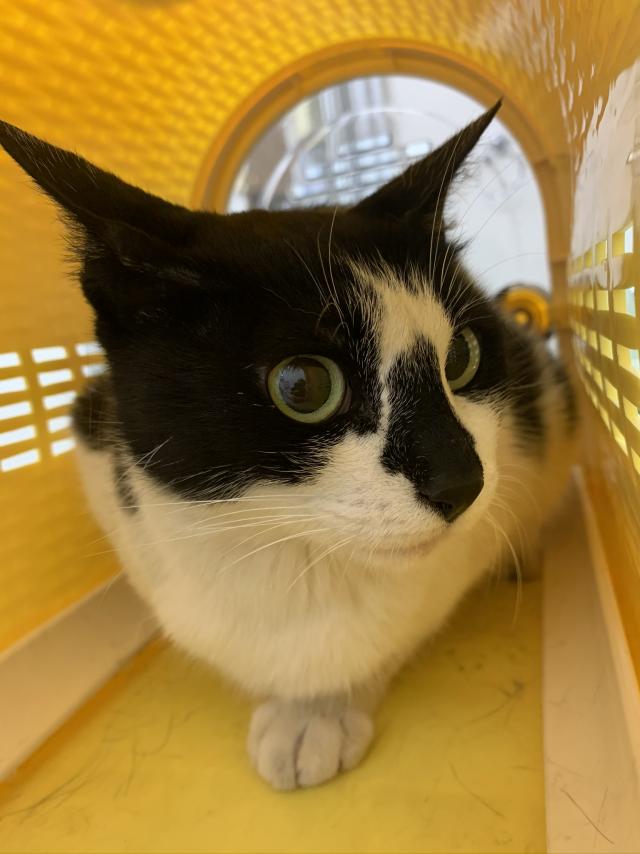 ムム