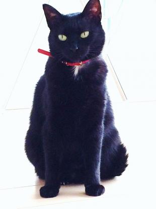 ルナ
