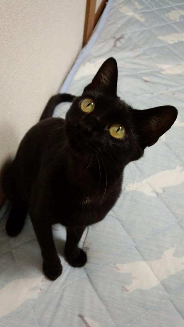 くろ