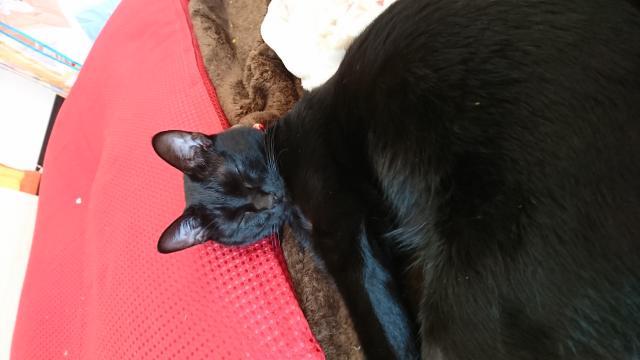 ミル