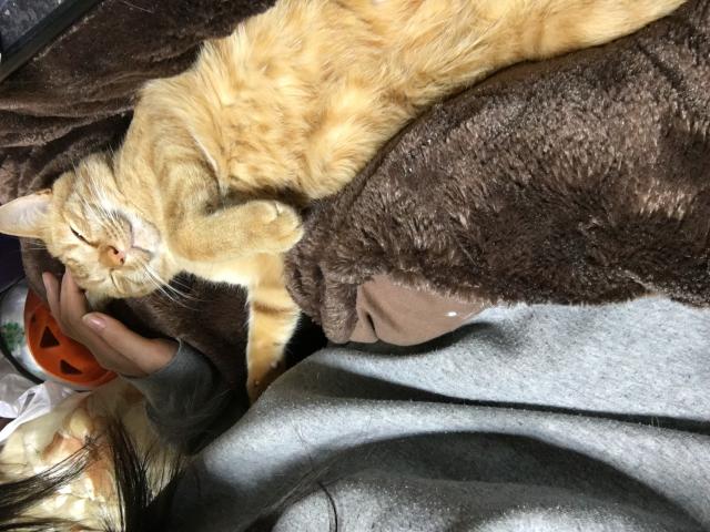 るる