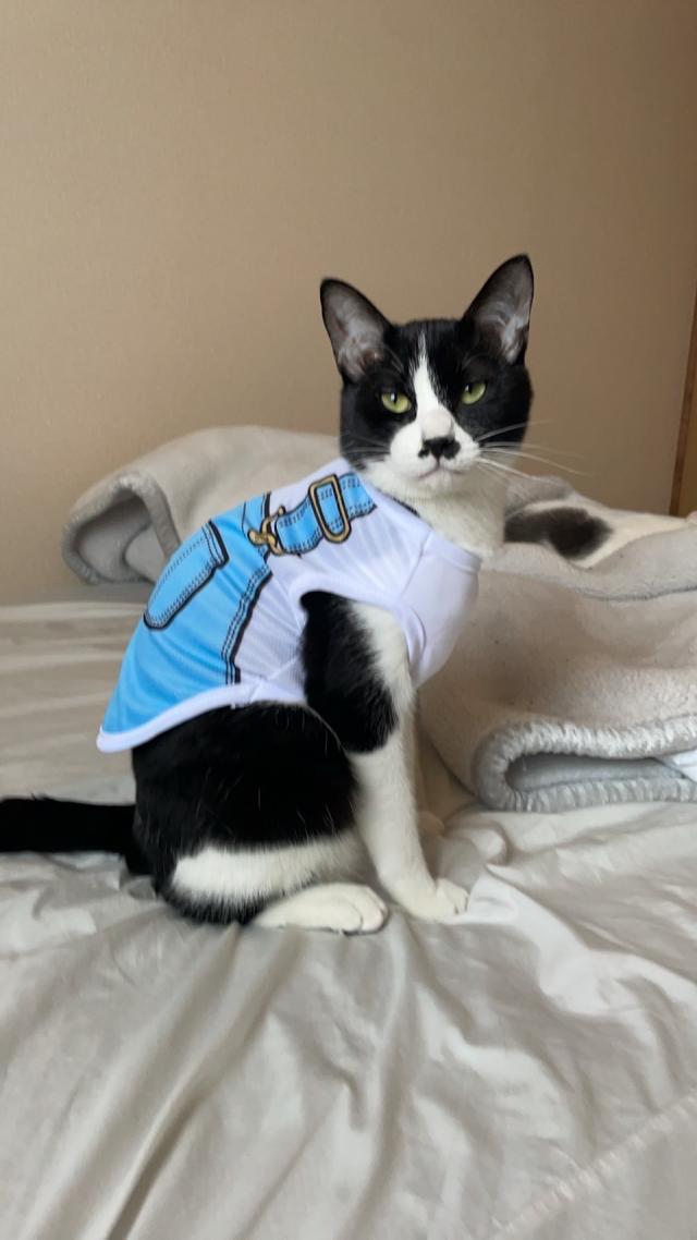 オト