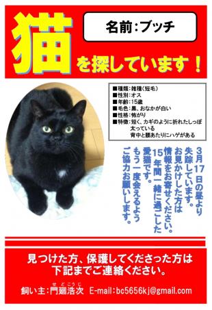 ブッチ