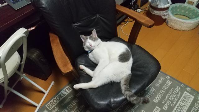 タラちゃん
