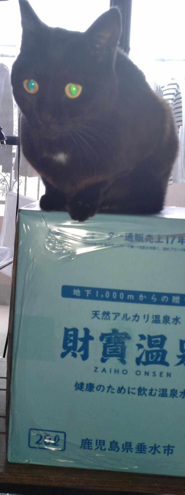 くうこ