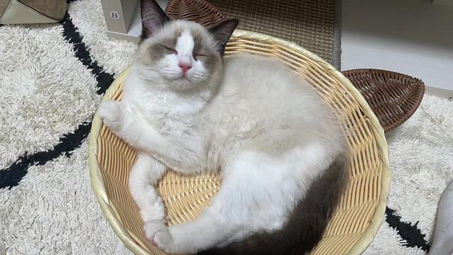 じゅうじゅう