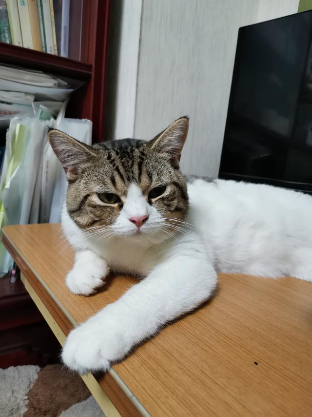 らんらん