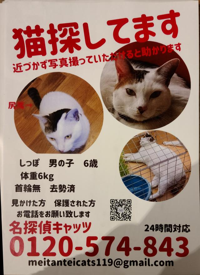 しっぽ