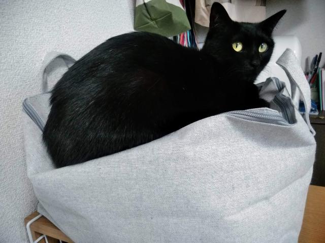 クロ