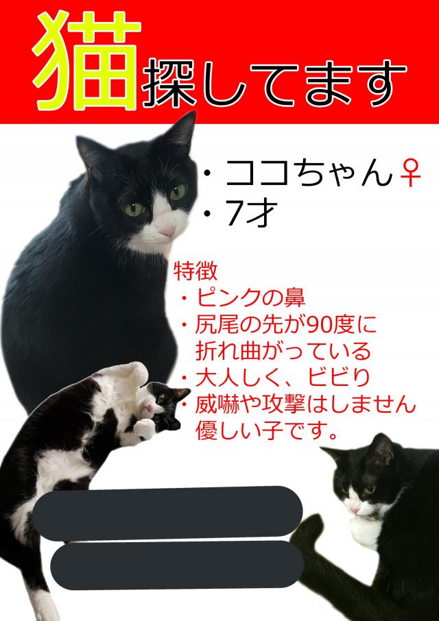 ココ