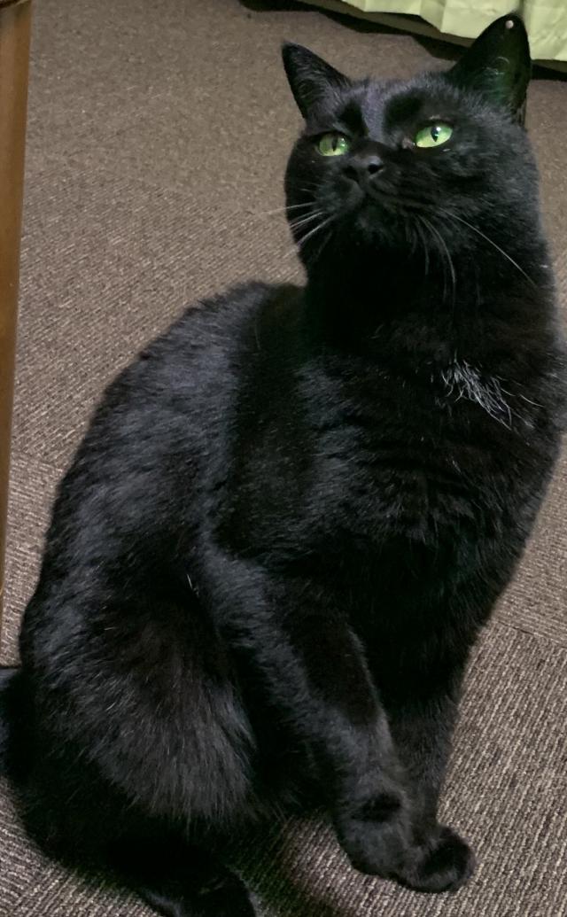 くう