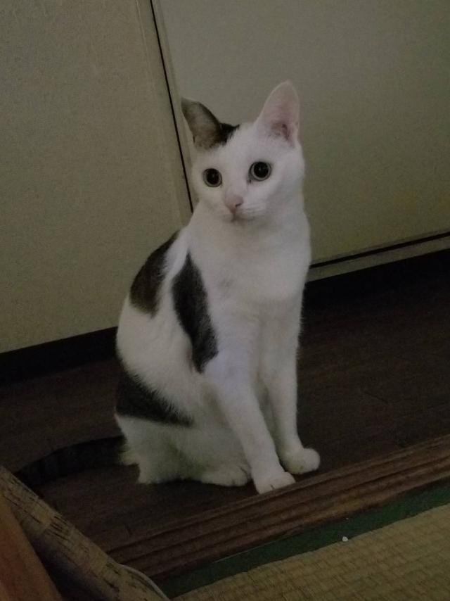 みー