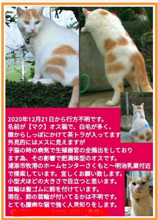 マーク