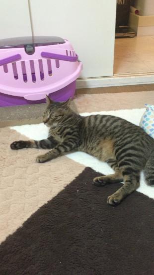 なぁちゃん