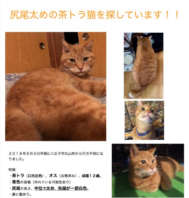 トロ