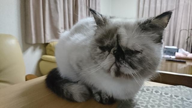 みこ