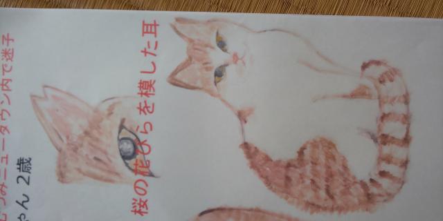 ぶっちゃん