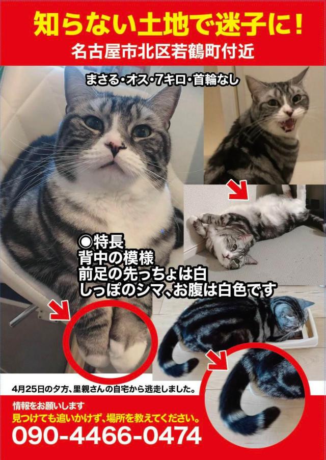 まさる