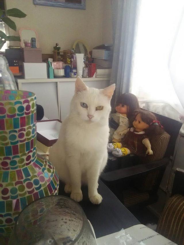 ベイビー