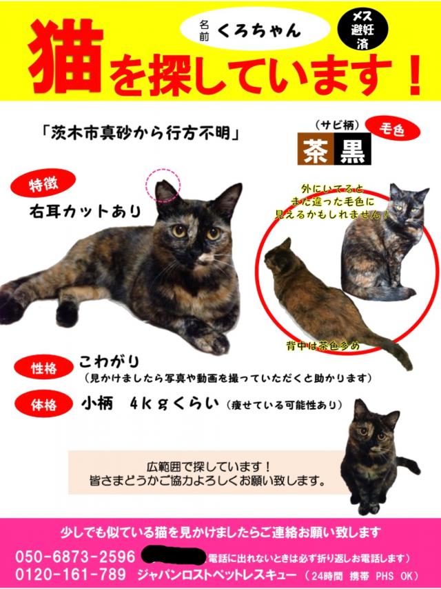くろちゃん