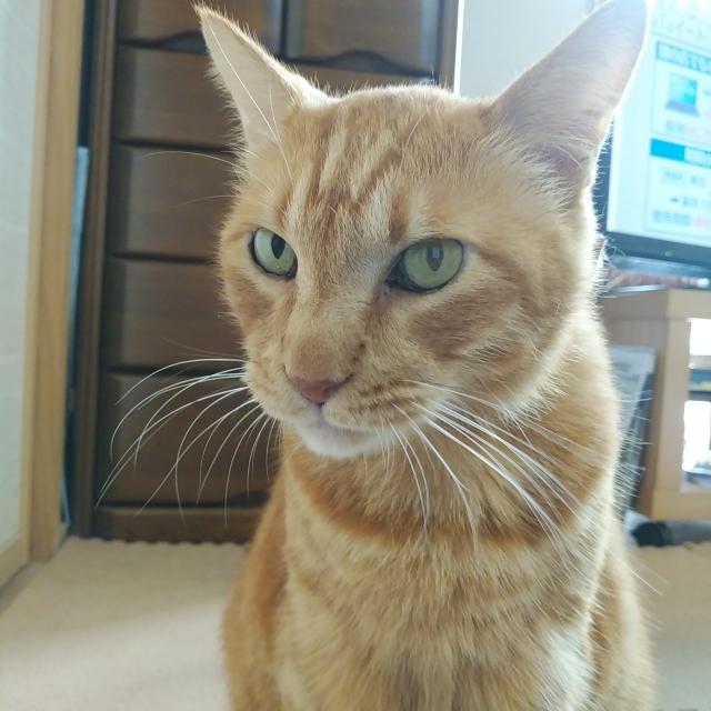 ブーヨン