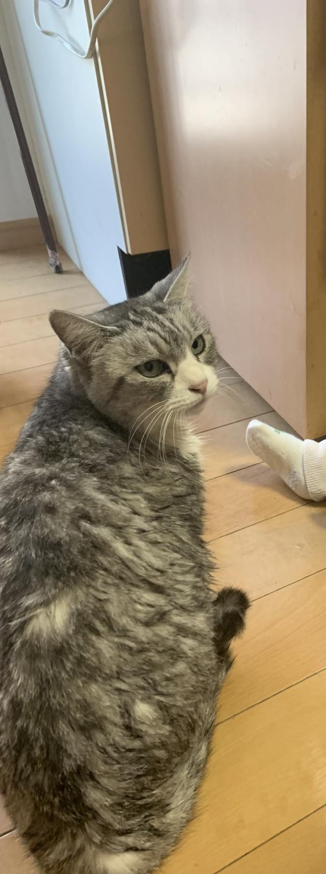 ノア