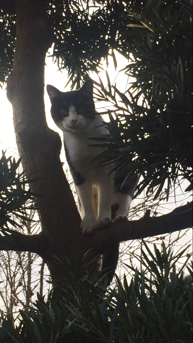 らぶ