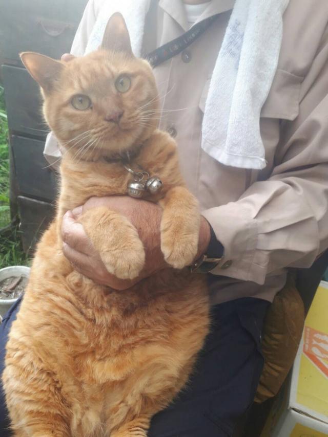 コナン
