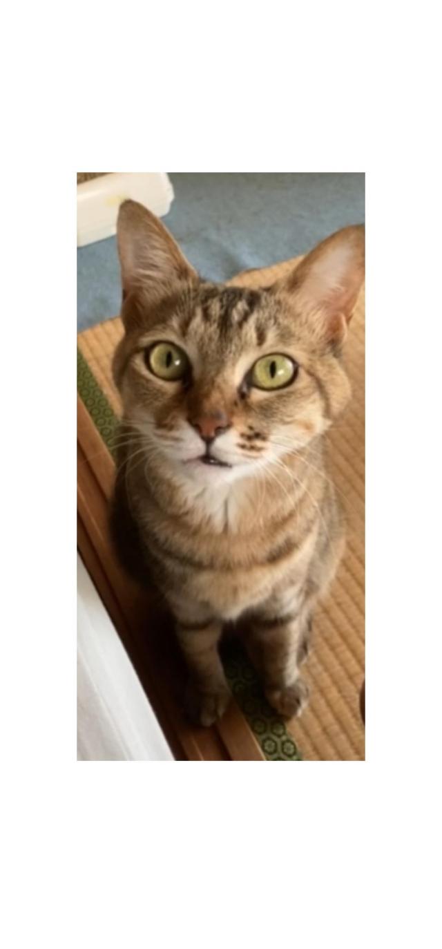 ラヴ