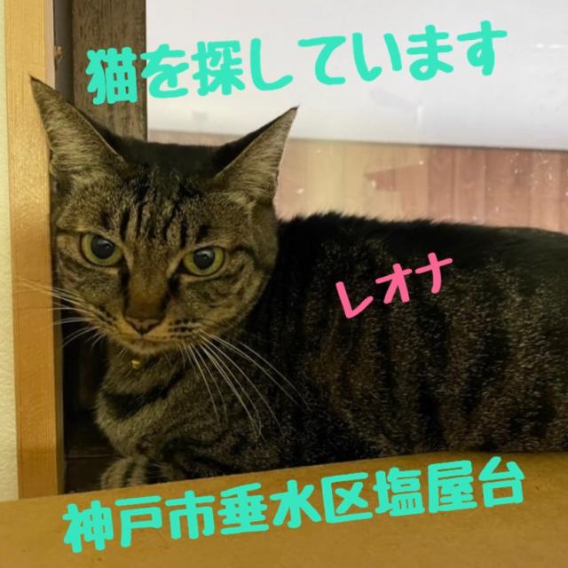 レオナ