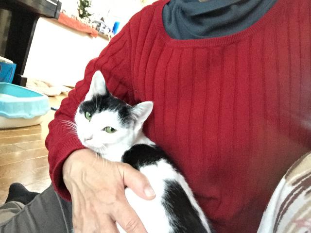 ゆず