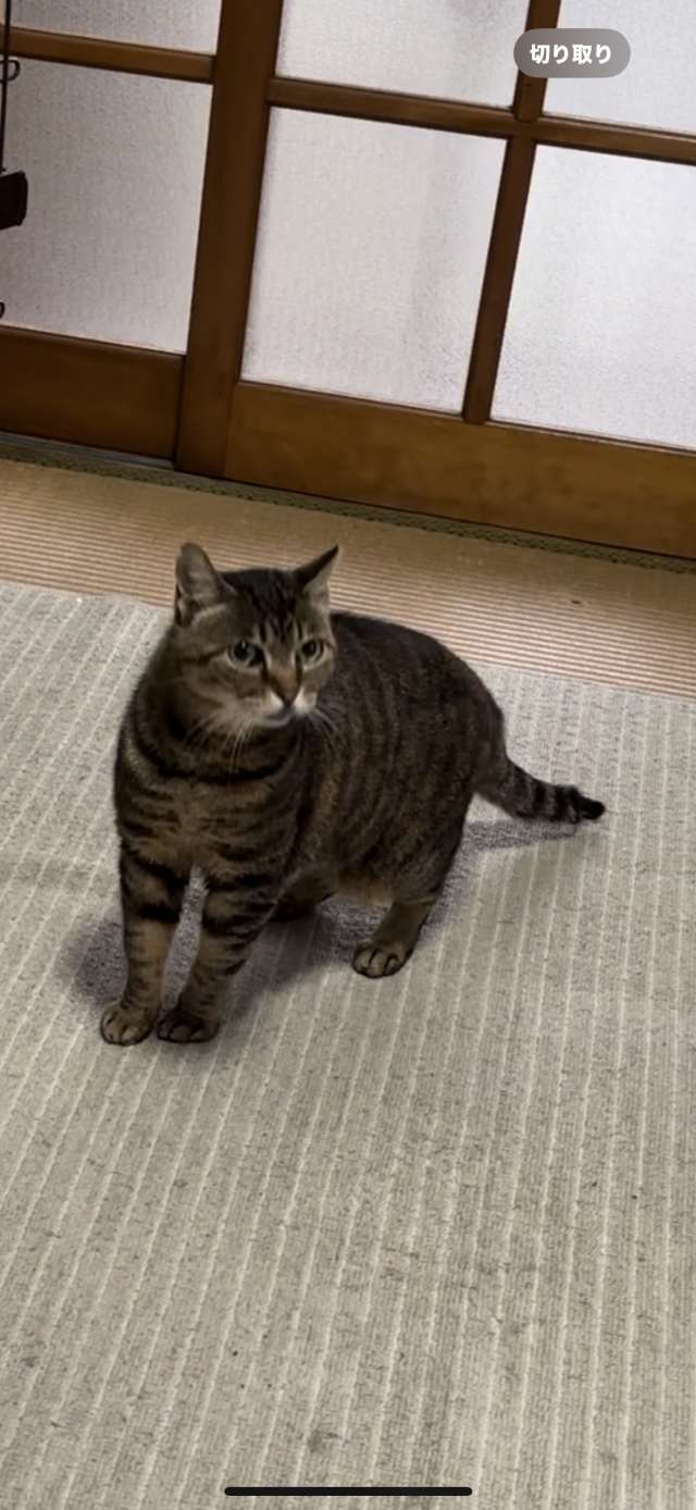 あき
