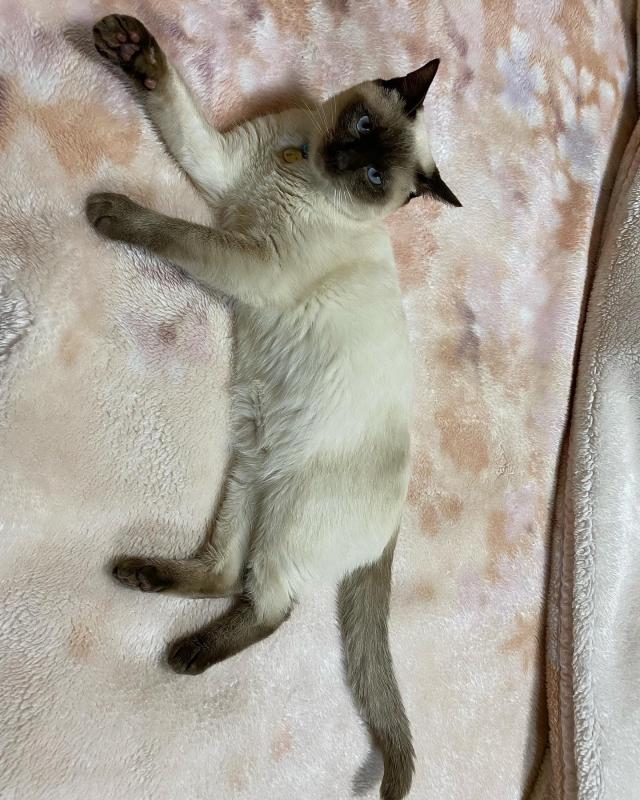 ニモ