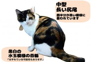 ウーナ