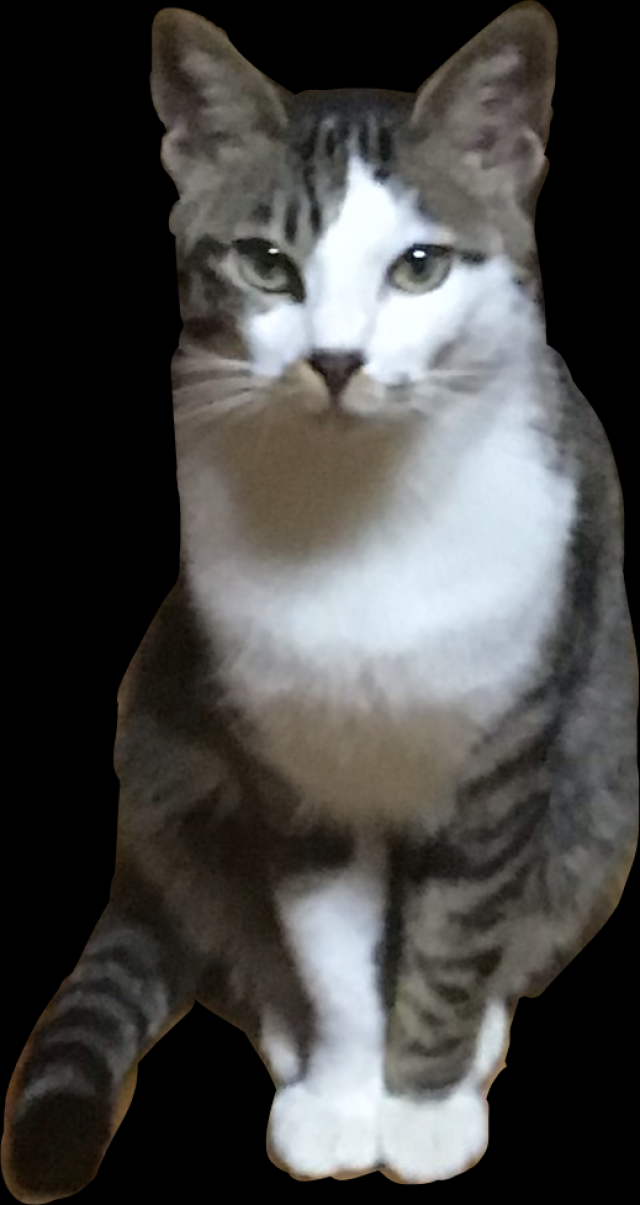 もこ