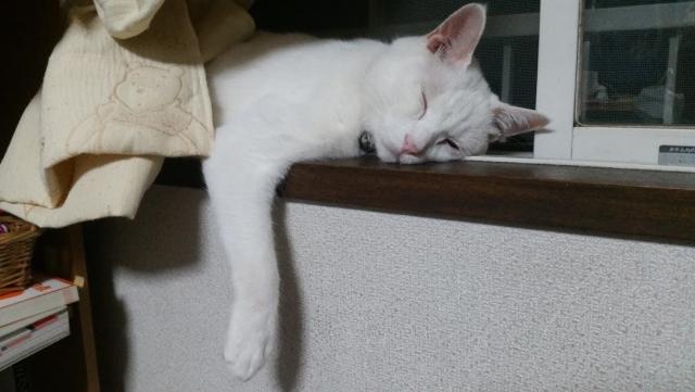 オリバー