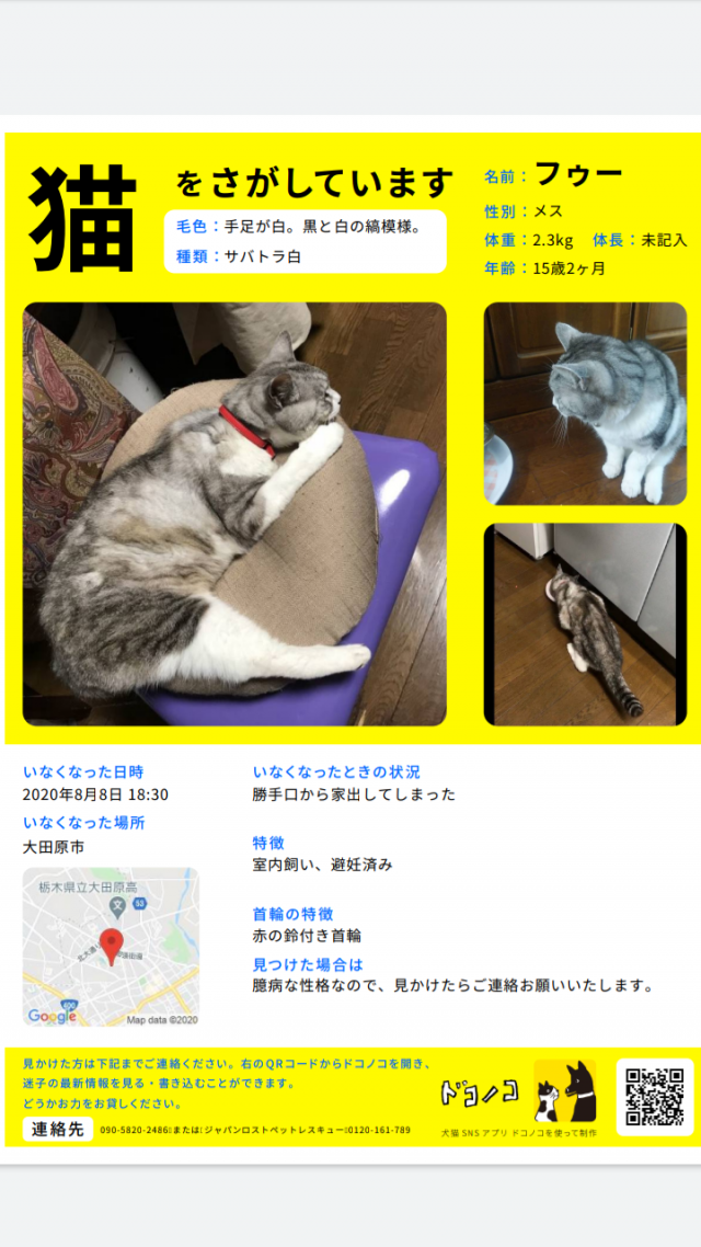 フゥー