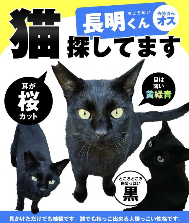 ちょうめい