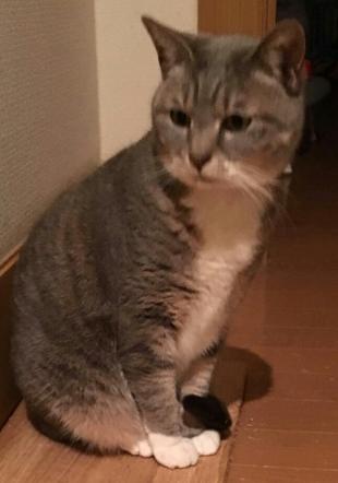 ソラ