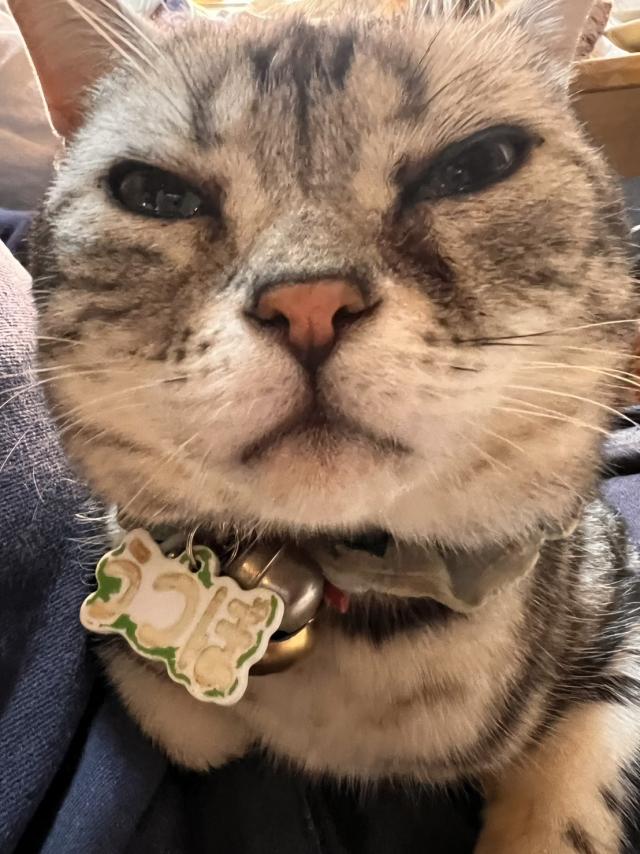 うつぼ