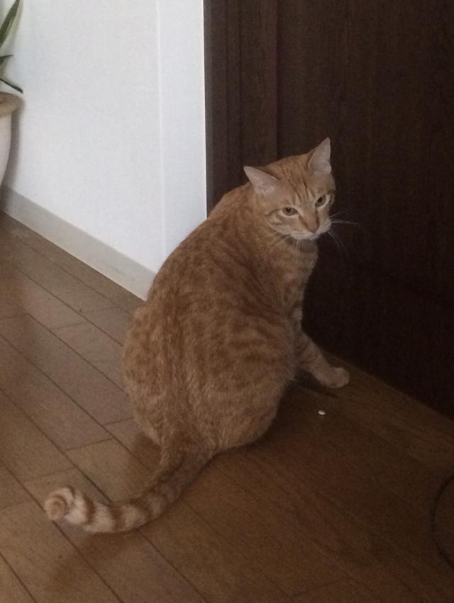 こうたろう