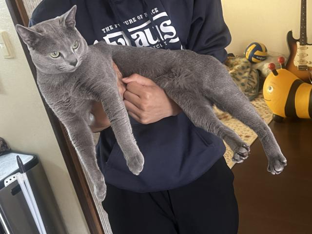 アッシュ
